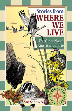 Great North American Prairie